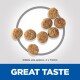 Kibble pieces arranged in a circular pattern, with a size reference of approximately 4 x 7.5mm, and the text "GREAT TASTE" at the bottom.