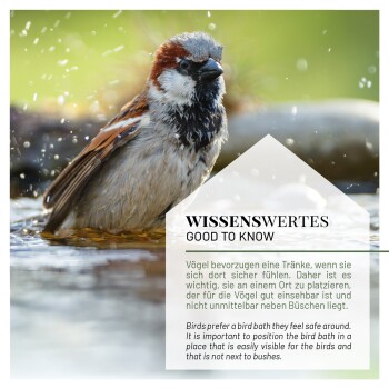 Ein Spatz, der im Wasser badet, umgeben von Spritzern. Textüberlagerung lautet 'WISSENSWERTES GOOD TO KNOW' mit Tipps zu Vogelbädern.