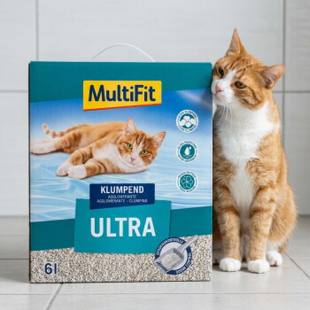 Orange-weiße Katze neben einer MultiFit "KLUMPEND ULTRA" 6l Klumpstreu-Box. – KI-generiert
