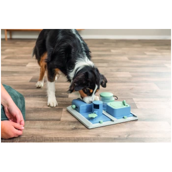 Dreifarbiger Hund schnüffelt an einem blauen interaktiven Futterpuzzle auf Holzboden neben den Händen einer Person.