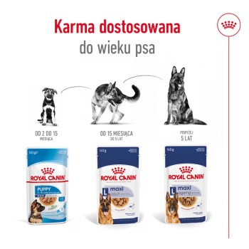 Opakowanie karmy dla psów Royal Canin dla różnych etapów życia: Szczeniak (2-15 miesięcy), Dorosły (15 miesięcy do 5 lat) i Starzejący się (powyżej 5 lat).
