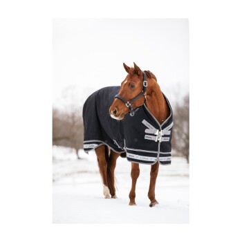 Ein kastanienbraunes Pferd, das eine schwarze Winterdecke trägt, steht in einer verschneiten Landschaft und zeigt seinen eleganten Körperbau und seinen aufmerksamen Ausdruck.