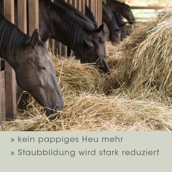 Eine Reihe von schwarzen Pferden, die Heu in einem Stall fressen, mit dem Text "kein pappiges Heu mehr" und "Staubbildung wird stark reduziert."
