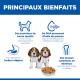 Titre « PRINCIPAUX BIENFAITS », deux chiots beagle avec des croquettes ; icônes avec libellés en français : protéines, DHA, digestion facile, minéraux.