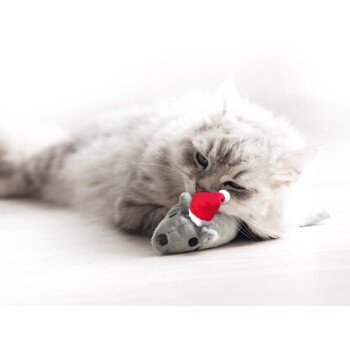 Coussin de jeu pour chat souris grise avec Valériane
