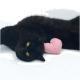 Eine schwarze Katze mit goldenen Augen liegt auf der Seite und ruht ihren Kopf auf einem rosa herzförmigen Spielzeug.