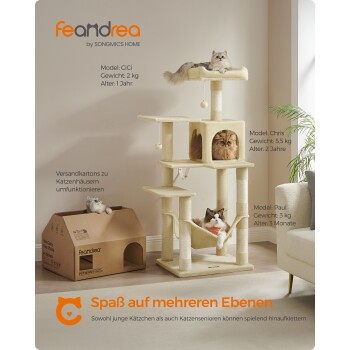 Ein gemütlicher Katzenbaum mit drei Ebenen und drei Katzen: CiCi oben, Chris in einer Nische und Paul in einer Hängematte, plus ein nahegelegenes Papphaus.