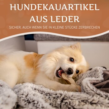 Hunde-Kauartikel aus Leder, sicher auch wenn sie in kleine Stücke zerbrechen, auf einer gemütlichen Decke mit einem Hund präsentiert.