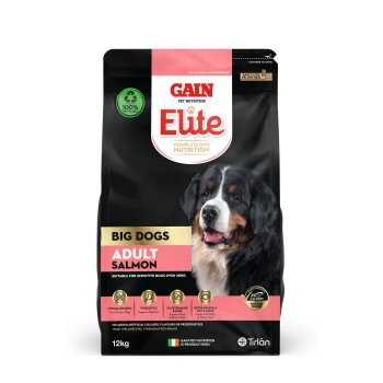 Dog food bag featuring a Bernese Mountain Dog, labeled "GAIN Elite Complete Dog Nutrition," for big dogs, adult salmon flavor, 12kg.