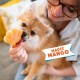 Eine Person hält ein flauschiges Haustier, mit einem bunten Etikett, das "MAGIC MANGO" deutlich in der Ecke zeigt.