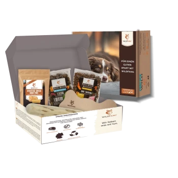 Wildfang Hundeleckerli-Schachtel mit Snacks, Kauknochen und Verpackung mit braun-weißem Hund und deutschem Text.