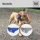 Hundejacke IMMI Grau M