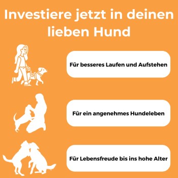 Kollagen-Hydrolysat für Hunde, Collagen mit hoher Bioverfügbarkeit (3kDA), 500g