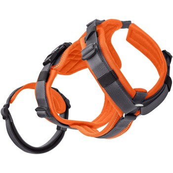 Orange und grahene Hundegeschirr mit verstellbaren Riemen und Schnallen, entworfen für Komfort und Sicherheit.