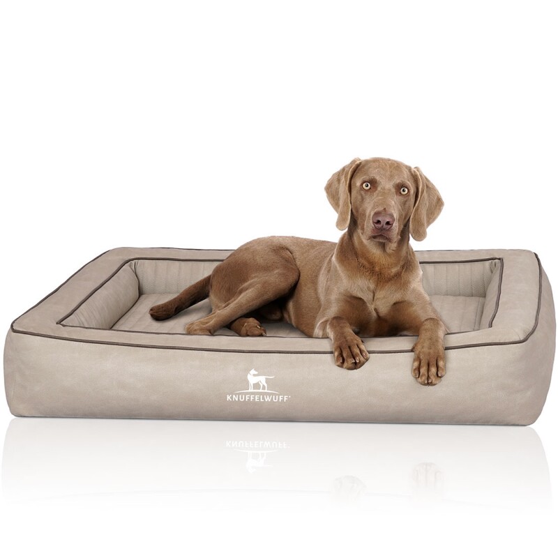 Knuffelwuff Orthopädisches Hundebett aus Laser gestepptem Kunstleder Montego grau M-L
