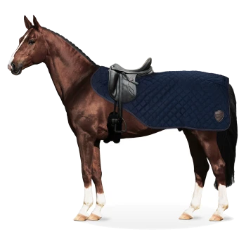 Ein braunes Pferd steht seitlich, trägt eine marineblaue gesteppte Satteldecke und einen Sattel. Das Pferd hat eine geflochtene Mähne und weiße Abzeichen im Gesicht und an den Beinen.
