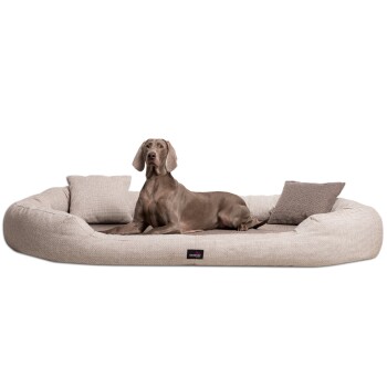 Ein grauer Weimaraner liegt auf einem großen, plüschigen beigen Hundebett mit zwei kleinen Kissen und zeigt Komfort und Stil.