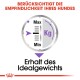 Illustration eines Messgeräts, das den Gewichtsbereich in Kilogramm mit den Beschriftungen "Max" und "Min" anzeigt, und Text, der "Erhalt des Idealgewichts" angibt.