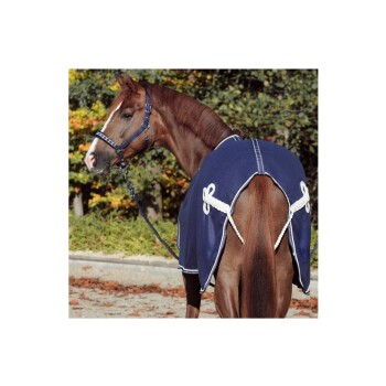 Ein braunes Pferd, das eine marineblaue Decke mit weißen Seilverzierungen trägt, steht im Freien mit herbstlichem Laub im Hintergrund.