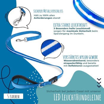 LED-Hundeleine in Blau mit einem sicheren Metallverschluss, mit hellen Lichtmodi für Sicherheit in der Nacht, und aus verstärktem, wasserdichtem Nylon gefertigt.