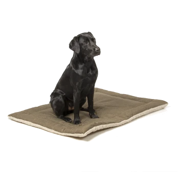 Ein schwarzer Labrador sitzt auf einem plüschigen, braunen Hundebett mit einem cremefarbenen Rand, vor einem weißen Hintergrund.