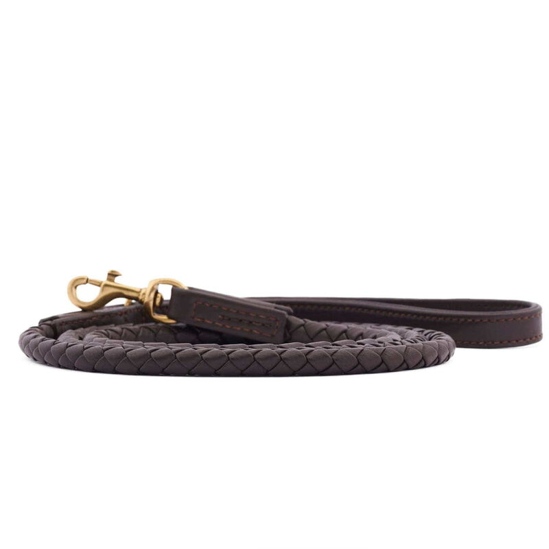 William Walker Hundeleine Twisted Earth S-L