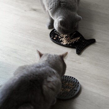 Zwei graue Katzen fressen von strukturierten Fressmatten auf einem Holzboden, eine in Fischform und die andere rund.