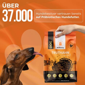 Ein brauner Hund leckt sich die Lippen neben einem Sack "TRUTHAHN Superfood" Hundefutter, das die Vorteile von Truthahn und Präbiotika hervorhebt.