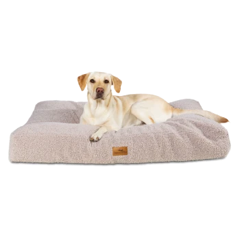Hellfarbiger Hund liegt auf einem großen, weichen, beigen Haustierbett mit einem „FREUDENFETTE“-Etikett vorne.