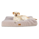Hellfarbiger Hund liegt auf einem großen, weichen, beigen Haustierbett mit einem „FREUDENFETTE“-Etikett vorne.