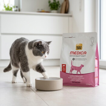 Grau-weiße Katze stupst mit der Pfote an einen Napf neben einem Beutel Select Gold MEDICA Veterinary Diet Urinary Stone.