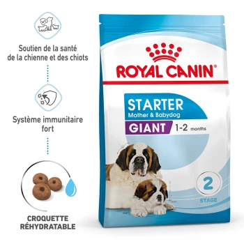 Nourriture Royal Canin Starter Mother & Babydog pour grandes races, adaptée aux chiots de 1 à 2 mois, présentant des chiens Saint-Bernard sur l'emballage.