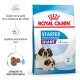 Nourriture Royal Canin Starter Mother & Babydog pour grandes races, adaptée aux chiots de 1 à 2 mois, présentant des chiens Saint-Bernard sur l'emballage.