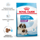 Nourriture Royal Canin Starter Mother & Babydog pour grandes races, adaptée aux chiots de 1 à 2 mois, présentant des chiens Saint-Bernard sur l'emballage.