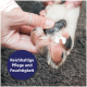Hand trägt Creme auf die Ballen eines Hundes auf; sichtbarer Text: 'Reichhaltige Pflege und Feuchtigkeit'.