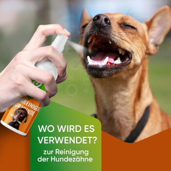 Hand sprüht Hundezahnreiniger auf einen lächelnden Hund; grüner Text: 'WO WIRD ES VERWENDET? zur Reinigung der Hundezähne'