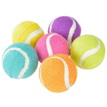 Bunte Haustier-Tennisbälle in Blau, Gelb, Pink, Orange, Grün und Lila, in einem Cluster auf einem weißen Hintergrund angeordnet.