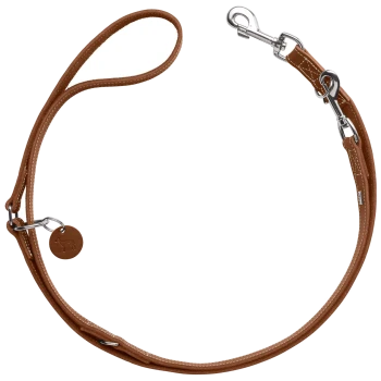 Braune Leder-Hundeleine mit einem silbernen Clip und einem kleinen runden Anhänger mit einem Hundesilhouette.