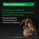 Un chat joueur mâche une chaussure, avec un texte au-dessus indiquant 'Natural Defences +' et décrivant le soutien immunitaire pour les animaux de compagnie.