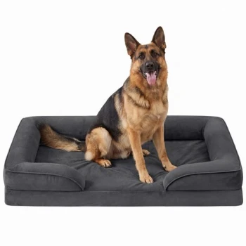 Hellbraun-schwarz gefärbter Deutscher Schäferhund sitzt auf einem großen, grauen, rechteckigen Hundebett mit erhöhten Seiten.