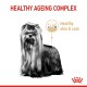 A stylish dog with long, shiny fur and a bow, labeled "Healthy Ageing Complex," highlighting benefits for healthy skin and coat.