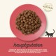 Katzenfutterkibble auf einem rosa Teller präsentiert, mit Text, der die Hauptzutaten hervorhebt: Huhn, Ente, Kartoffeln, Vitamine und Mineralien.
