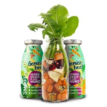 Ein gestromter und weißer Hund genießt einen Gemüsesnack aus einer Flasche mit der Aufschrift "Genius Pet Veggie Snack für Hund," die von einer Person gehalten wird.