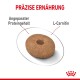 Hundefutter-Kibble mit einem Loch in der Mitte, beschriftet mit "PRÄZISE ERNÄHRUNG", das "Angepasster Proteingehalt" und "L-Carnitin" hervorhebt.