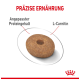 Hundefutter-Kibble mit einem Loch in der Mitte, beschriftet mit "PRÄZISE ERNÄHRUNG", das "Angepasster Proteingehalt" und "L-Carnitin" hervorhebt.