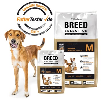 Fröhlicher Hund neben zwei ‚BREED SELECTION‘ Medium (M) Hundefutterbeuteln. Sichtbarer Text: ‚Single Protein & Grain Free‘, ‚FutterTester.de Geprüfte Qualität GUT+‘.