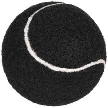 Schwarzer Tennisball mit einer weißen geschwungenen Linie, entworfen als Haustierspielzeug.