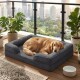 Golden Retriever liegt auf einem grauen Hundebett mit Rand auf einem Balkon mit Stadtsilhouette, Topfpflanzen und weißer Wasserschale mit der Aufschrift 'woof'.