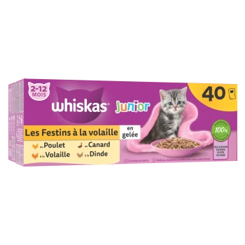 Boîte de nourriture Whiskas Junior pour chatons de 2 à 12 mois, saveurs volaille, 40 sachets, avec un chaton et un bol de nourriture sur fond violet.