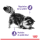 Un chat duveteux est vu de profil, avec un texte mettant en avant "Régulation de la satiété" et "Maintien du poids idéal" en violet.